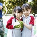 【为明研学】秘“蜜”行动计划,一起走进青青自然生态创客园!